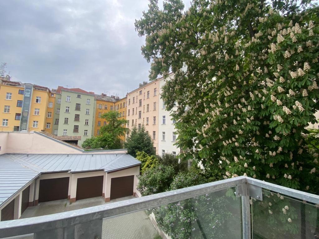 Designed Apartment Next To Vaclav Square With Terrace And Private Garage ปราก ภายนอก รูปภาพ